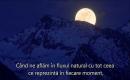 Luna Plina in Berbec - Renastem ca Phoenix din Cenusa