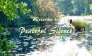 Oase der Sinne - Peaceful Silence